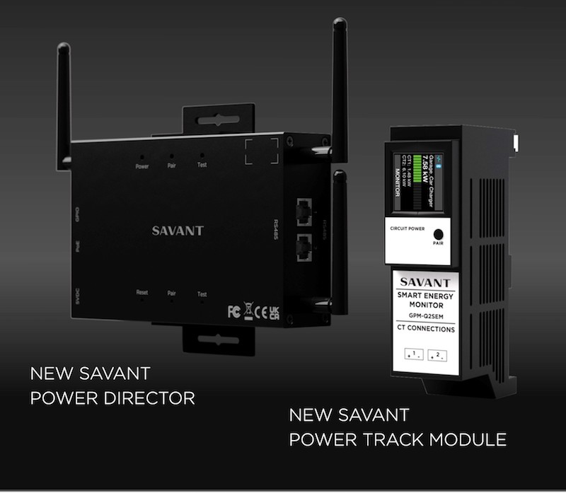 Savant Module & Director